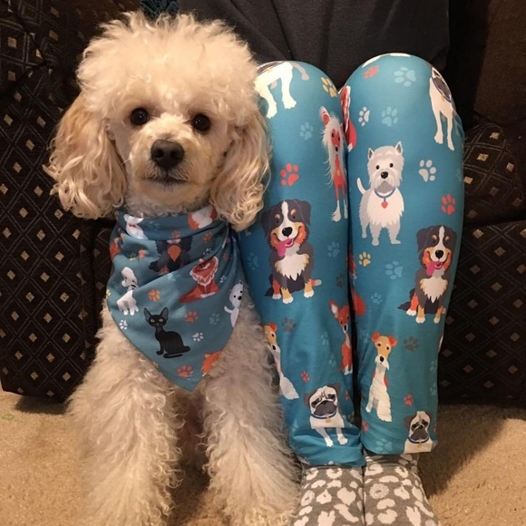 Multi-Breeds 4 Dog Cat Custom Leggings - Picture 2 of 3